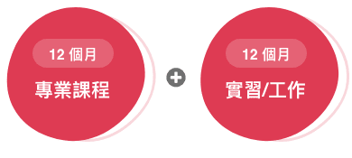 加拿大Co-op什麼是 12+12？