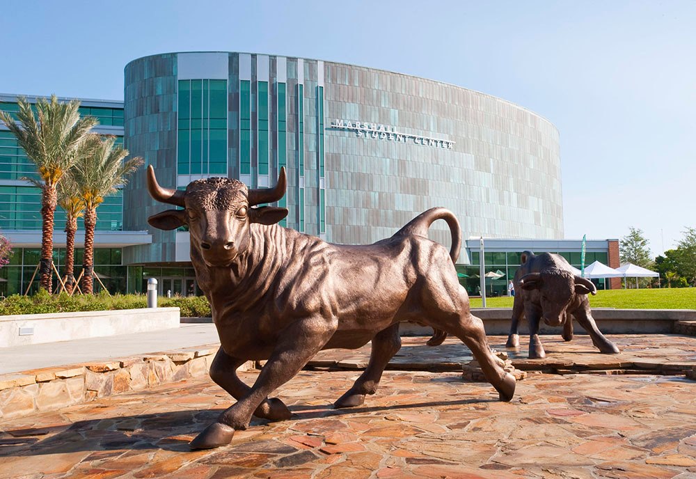 University of South Florida