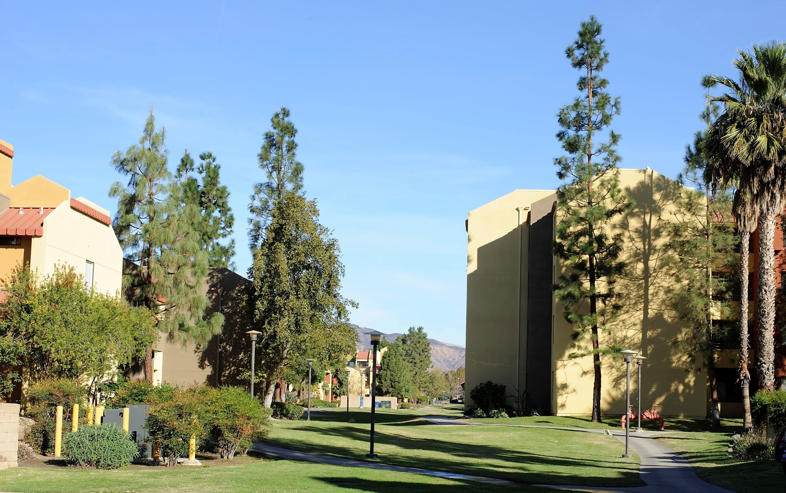 【美國洛杉磯】加州州立大學 CSUN 活動夏令營 + 洛杉磯探索之旅